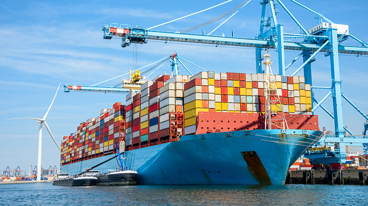 cheap sea freight from Shenzhen to Netherlands
