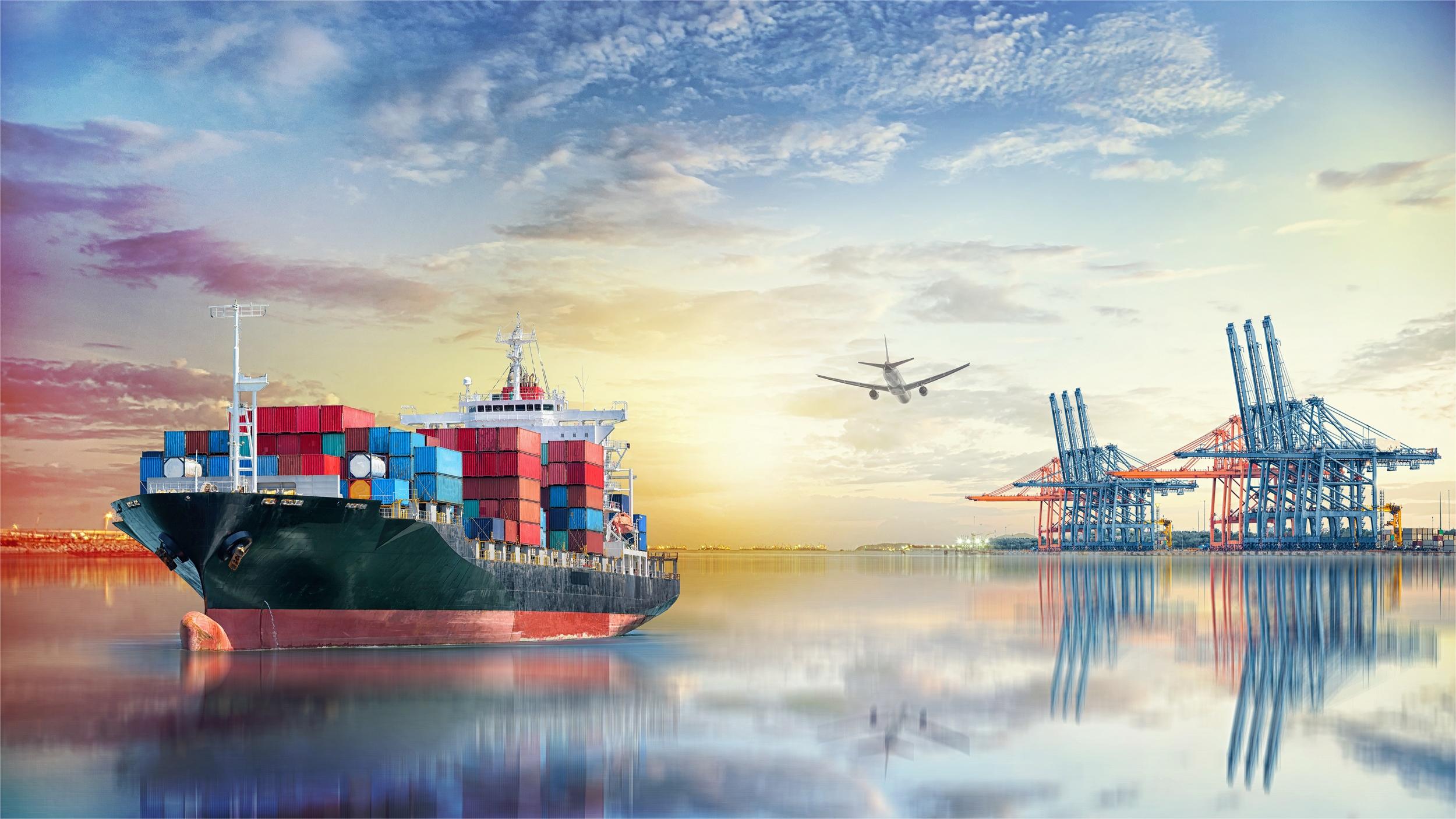 Freight forwarder discussing logistics with a client